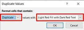 duplicate excel 02