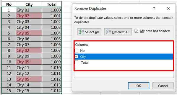 duplicate excel 05