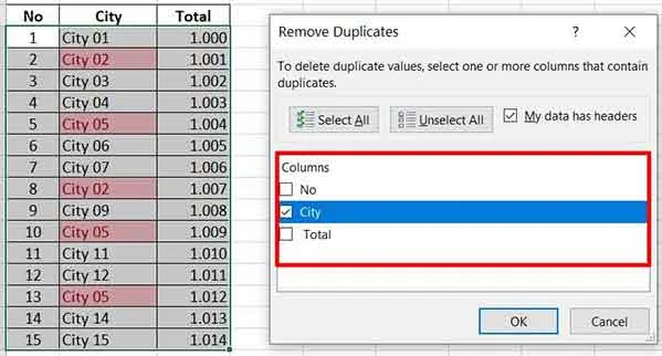 duplicate excel 05
