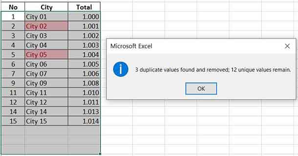 duplicate excel 06