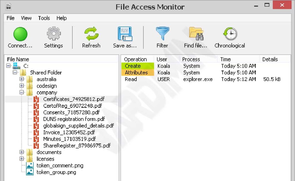 File Access Monitor