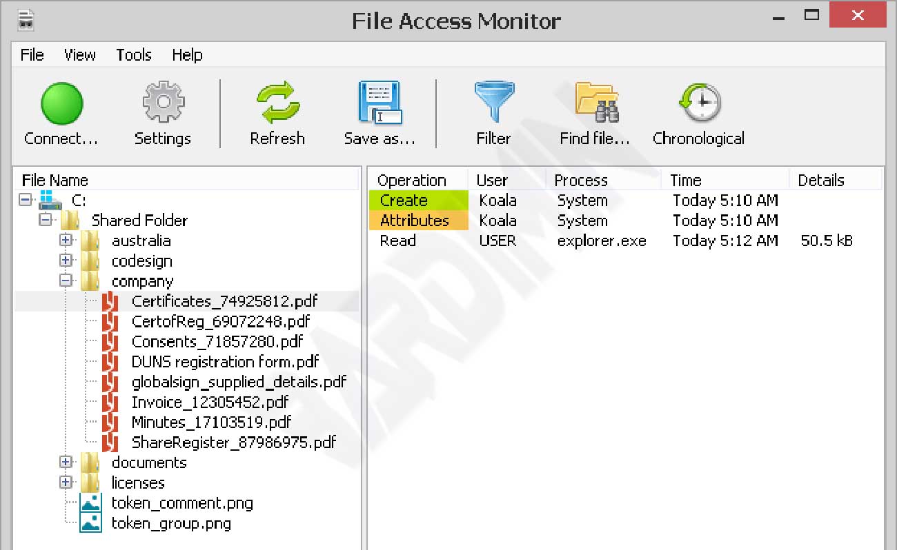 File Access Monitor