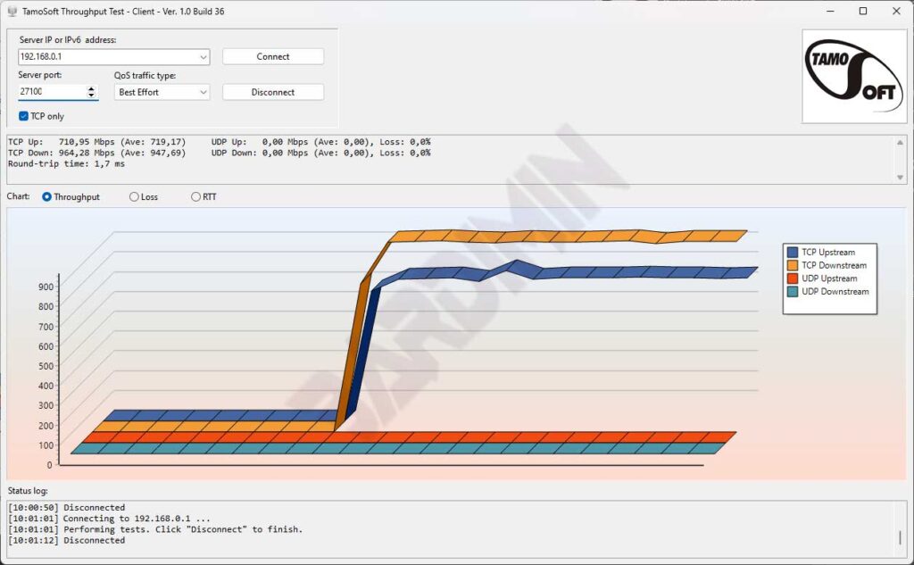 TamoSoft Throughput Test