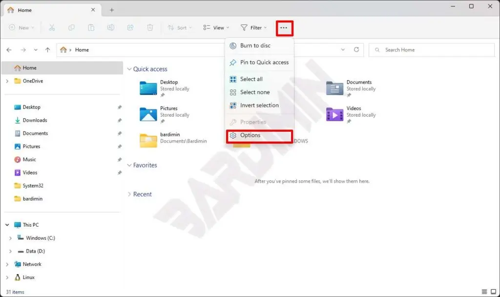 file explorer options