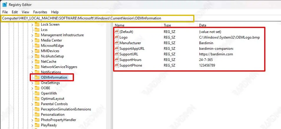 registry oem information