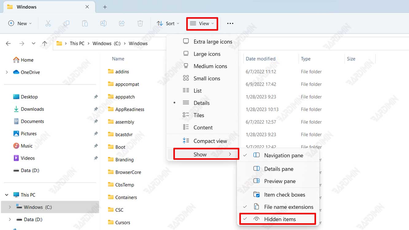 file explorer show hidden items