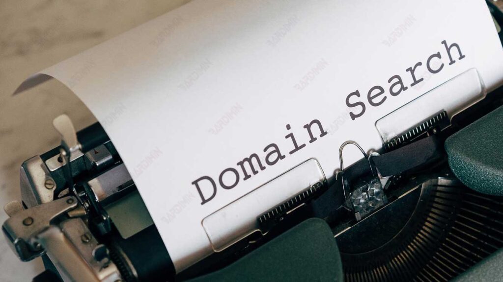 domain search