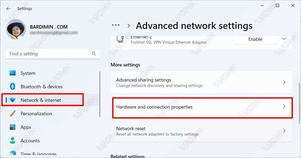 setting Advanced network settings