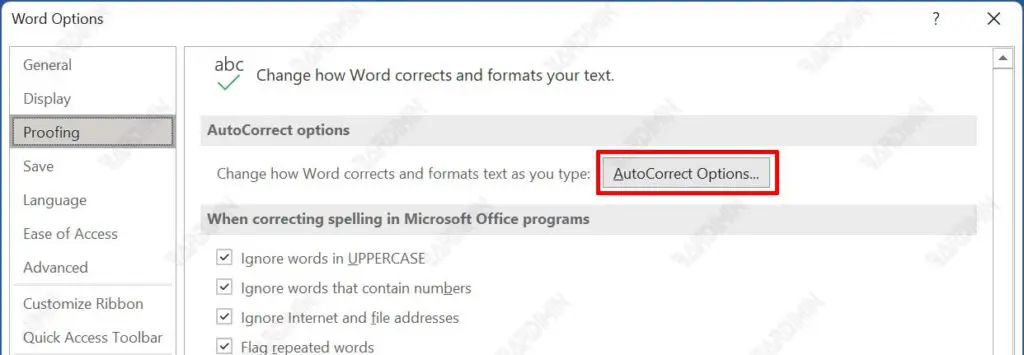 AutoCorrect Options