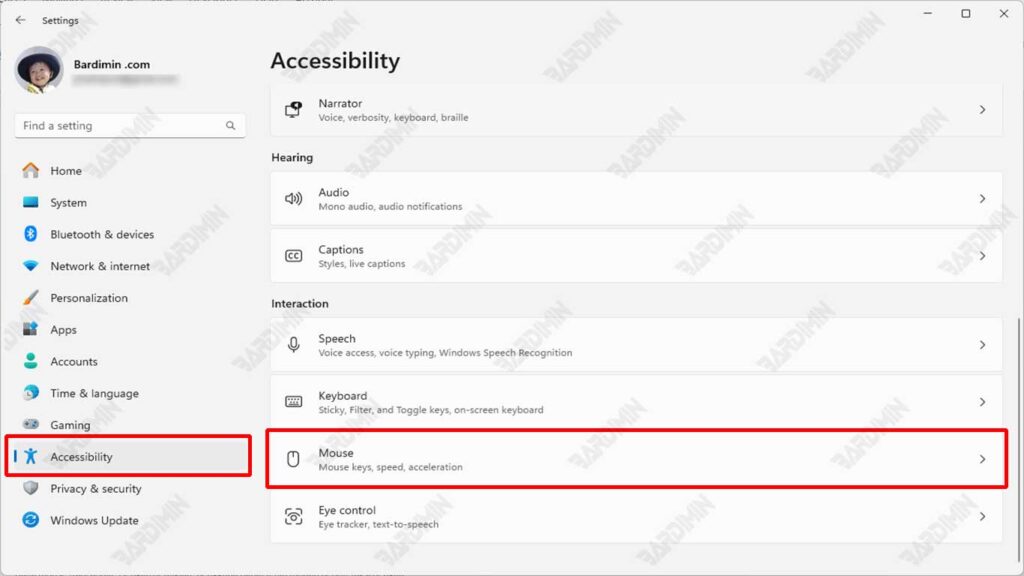 setting accessbility mouse