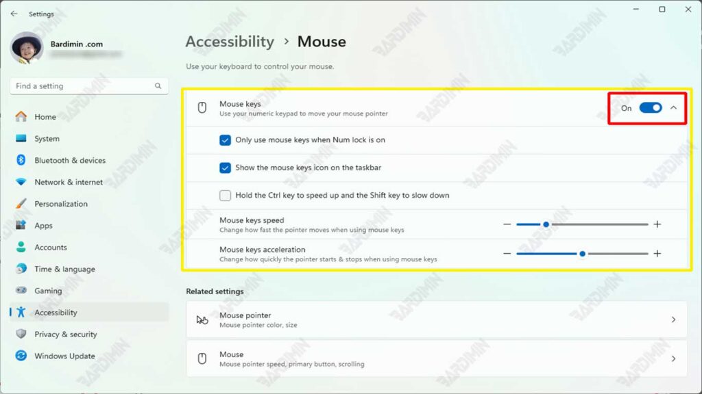 setting accessbility mouse key