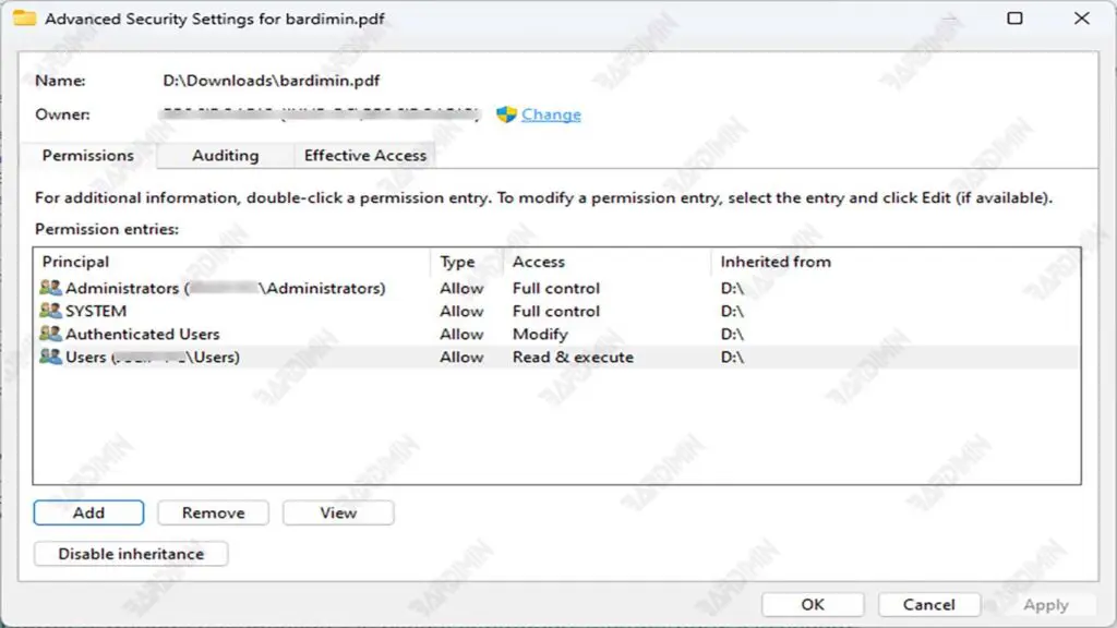 Advanced Security Settings