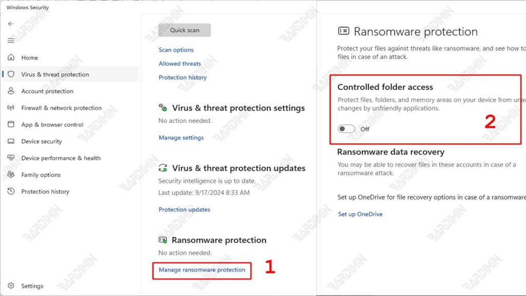 Enabling Controlled Folder Access