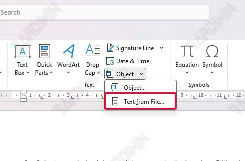 Text from File