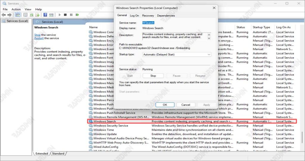 Windows Search Service