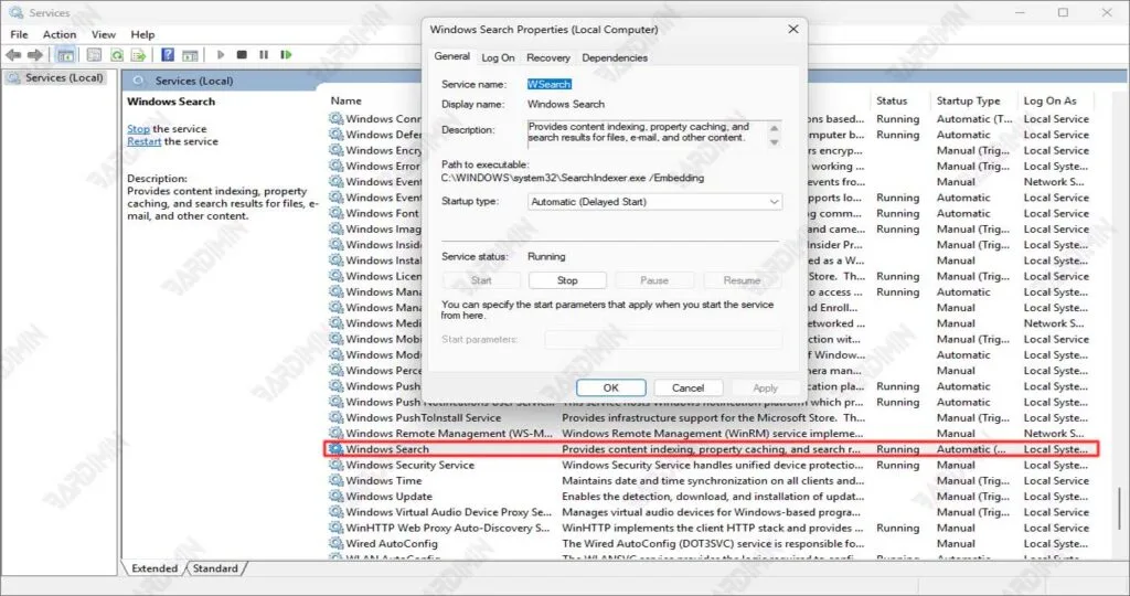Windows Search Service